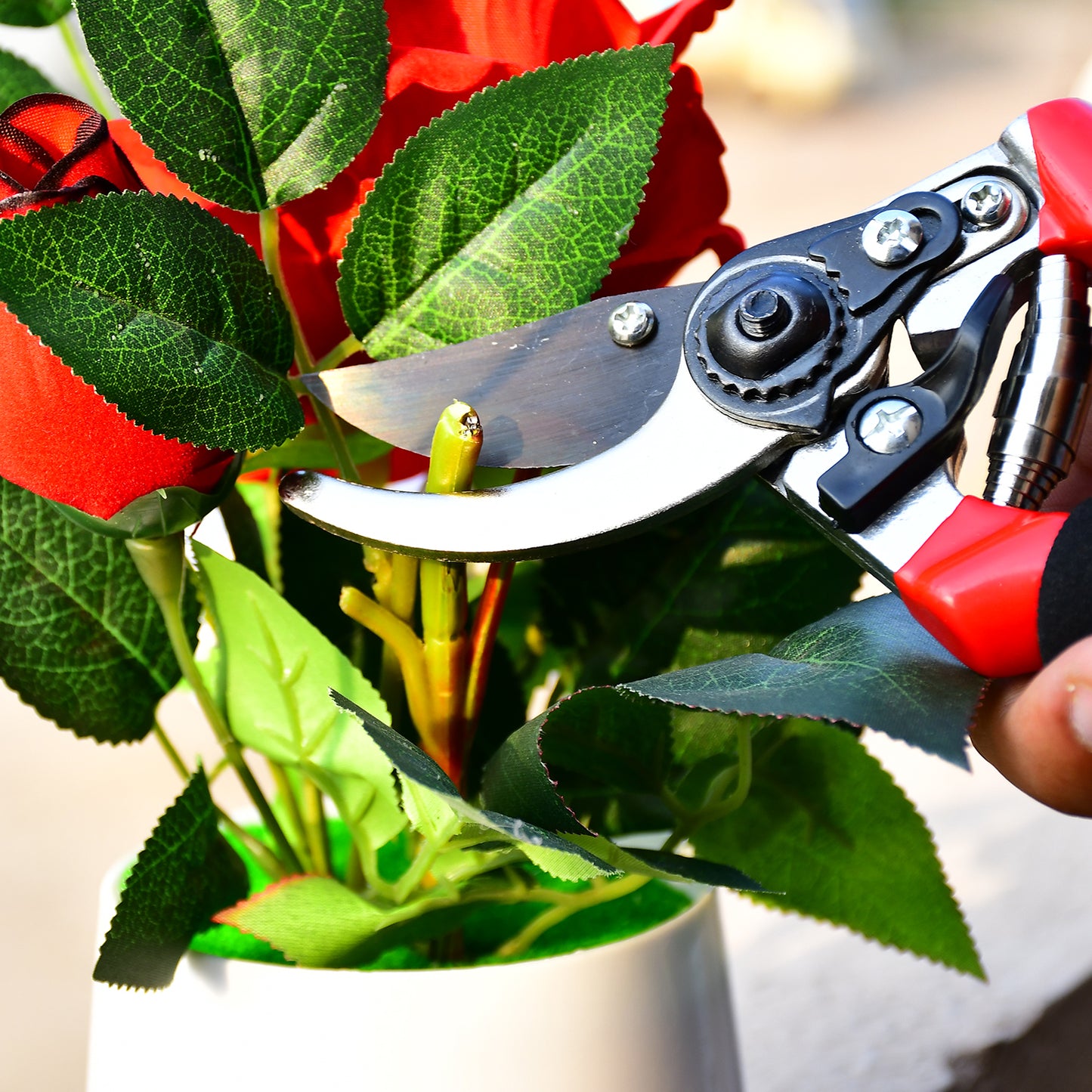 red handled pruning shears trimming potted red roses showing blade action best garden shears for home use