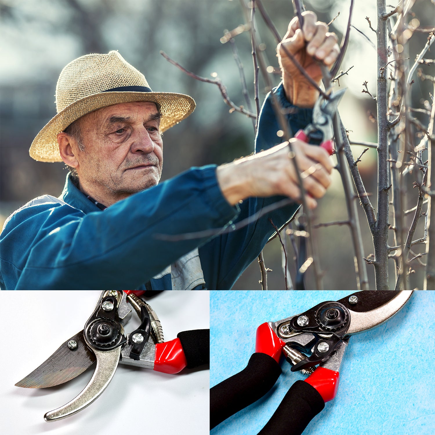 red black pruning shears sharp blades shown close up and used by gardener on branches best garden shears for home use